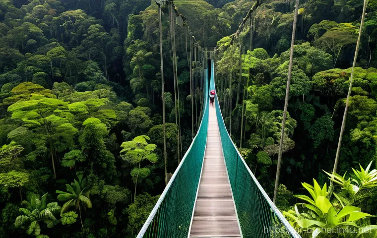 브루나이 생태 관광 - **"A breathtaking aerial view of the Ulu Temburong National Park's Canopy Walk in Brunei, where a pe...