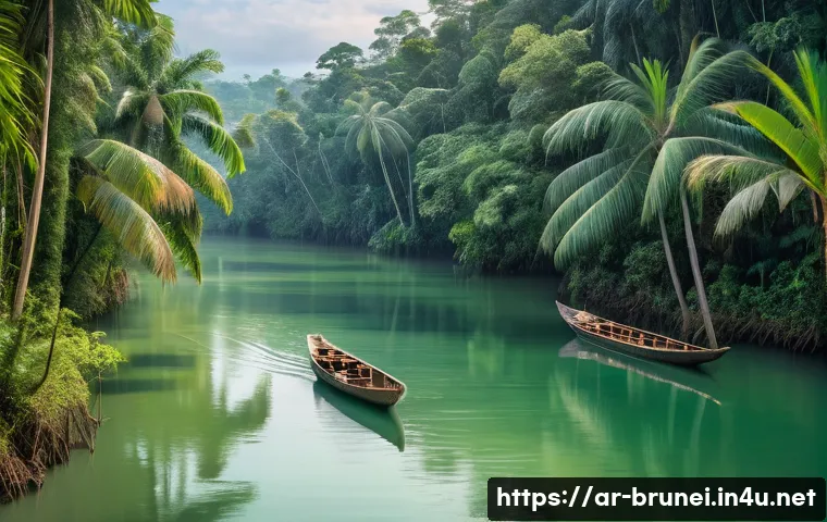 브루나이 대자연 탐험 가이드 관련 이미지 1