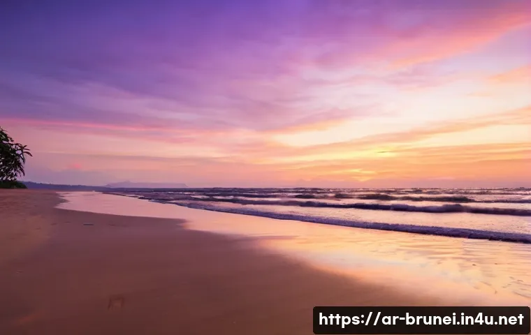 브루나이에서 촬영한 영화 관련 이미지 1